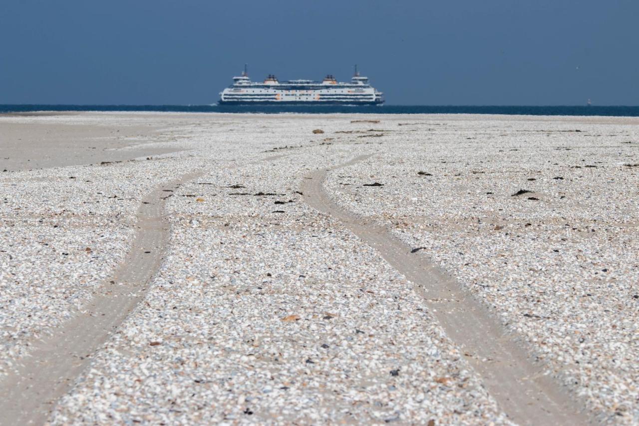 Bed En Bike Strunen Op Texel Ден-Бург Экстерьер фото